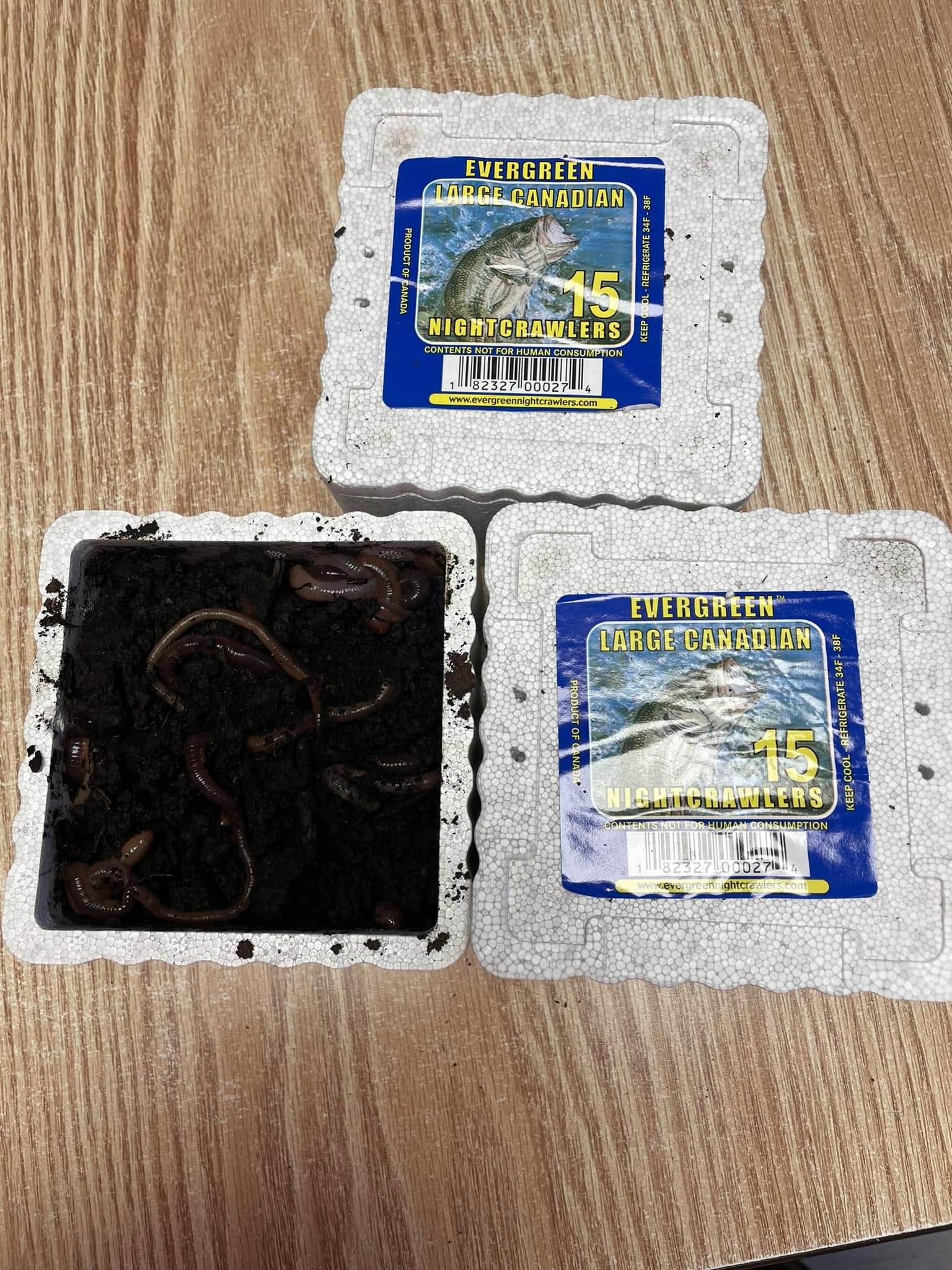 Live bait available at Big's Place