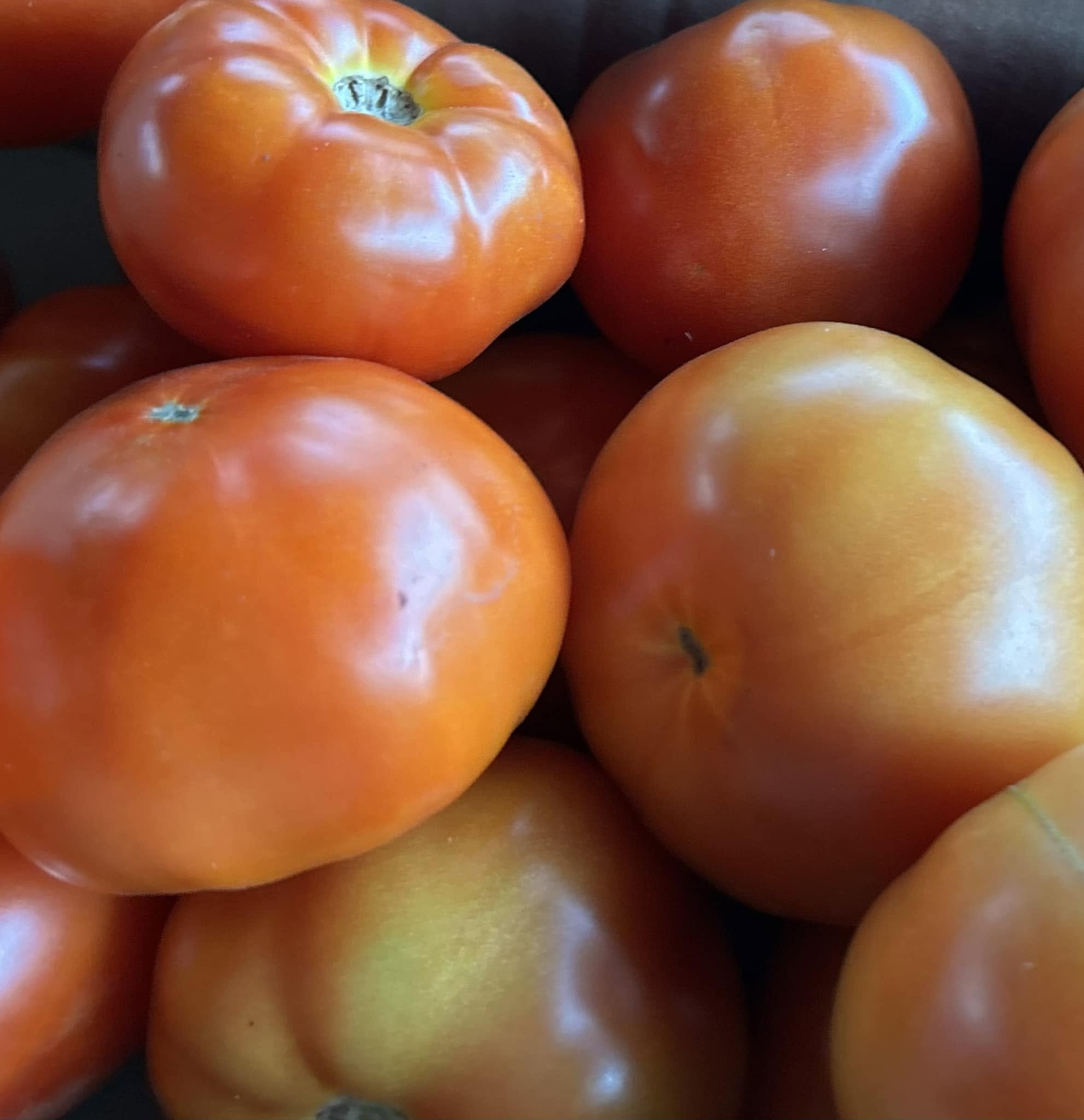 A pile of ripe red tomatoes